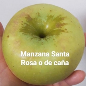 Manzana Santa Rosa