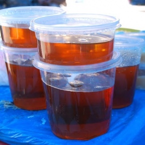 Miel de Abeja